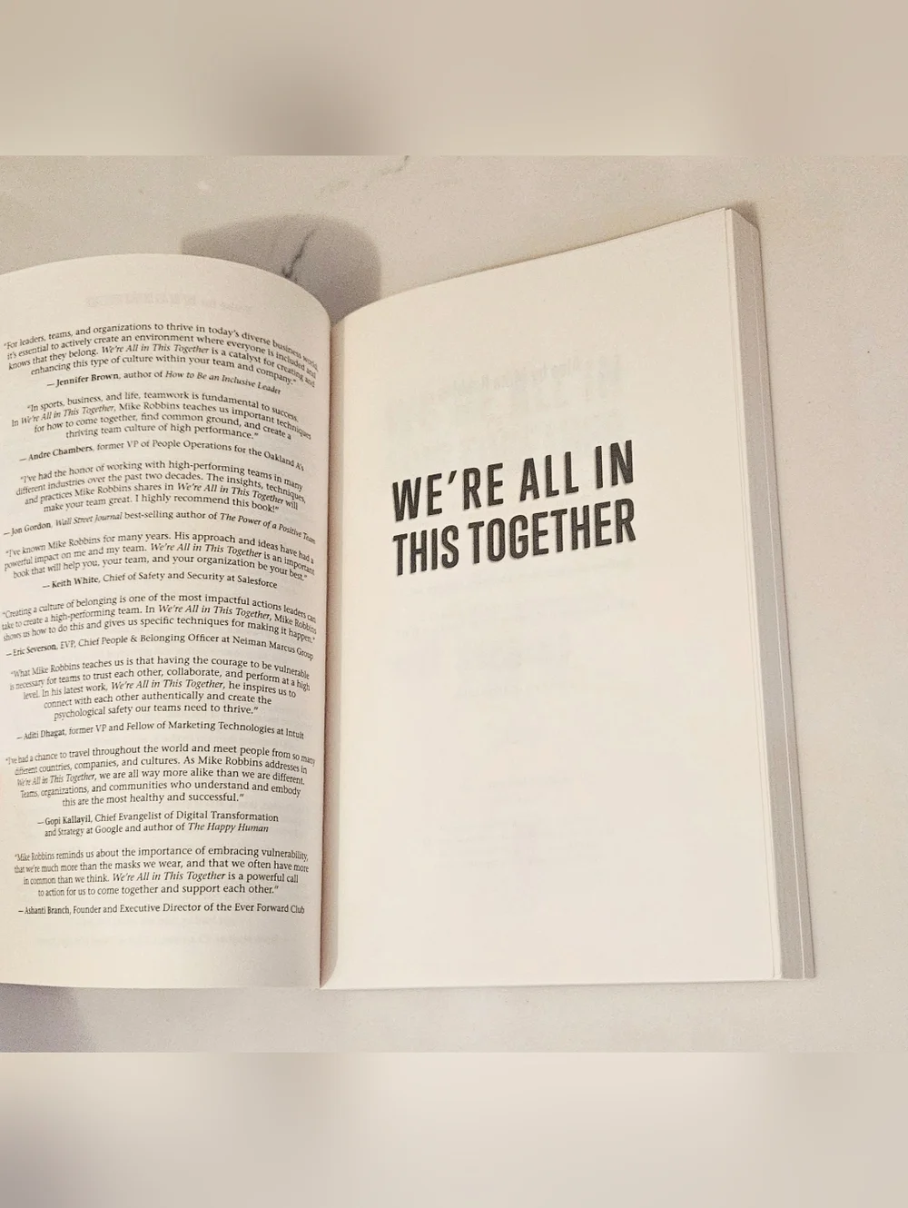 BOGO We’re All In This Together by Mike Robbins  Paperback Book